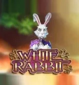 White Rabbit pokie at BetFM